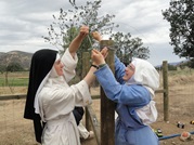 Premontre Sisters Tehachapi